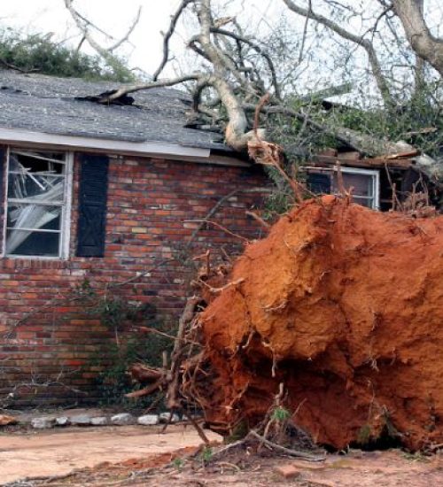 home-restoration-services