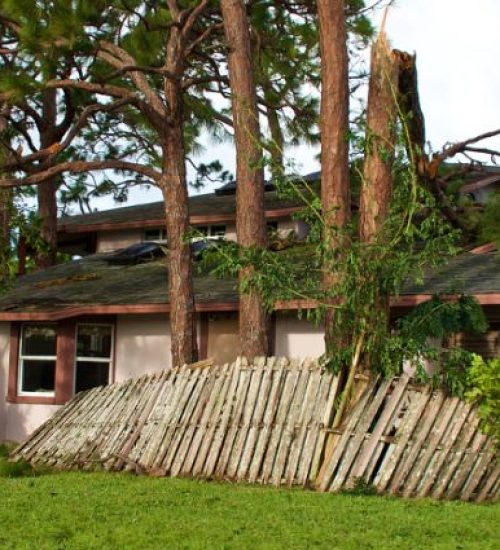 wind-storm-damage-repair
